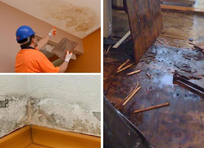 Collage of different types of water damage properties