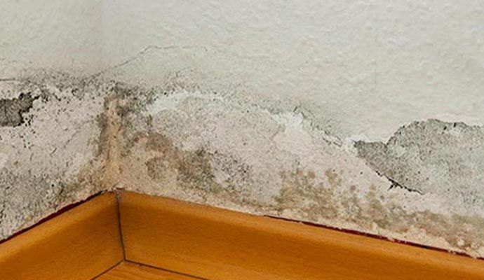 Peeled wall due to water damage