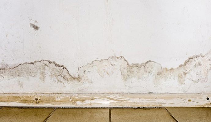 Visible water damage on indoor walls.