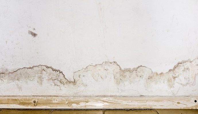 Water and mold damaged interior wall