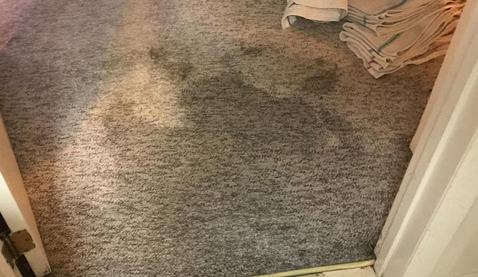 Water damaged carpet