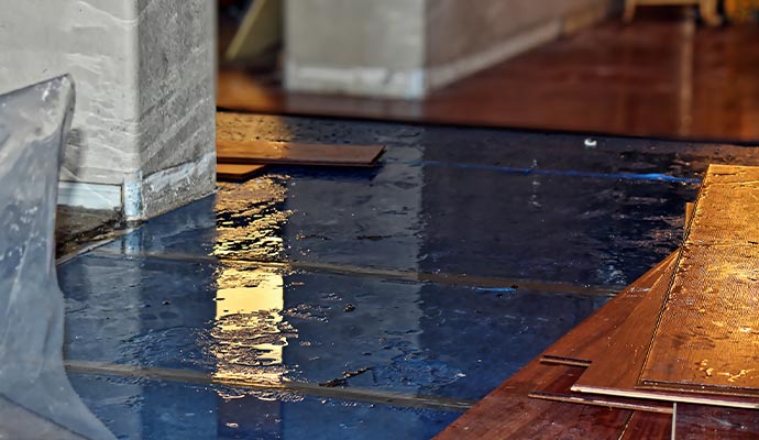 Water damaged floorboards