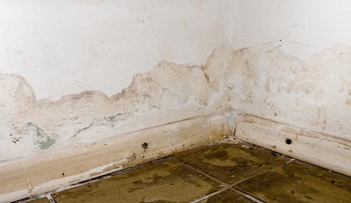 Water damaged tile floor