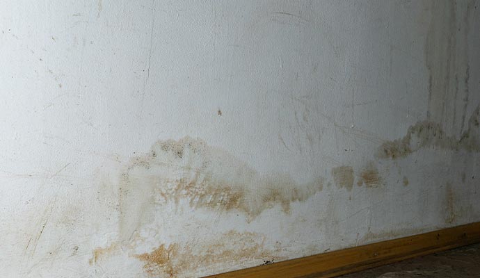 Water stains and moisture damage on a white interior wall.