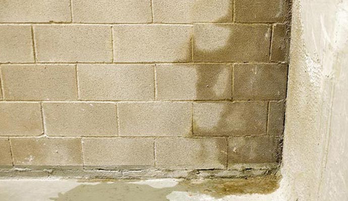 Water stains and seepage on a concrete basement wall.