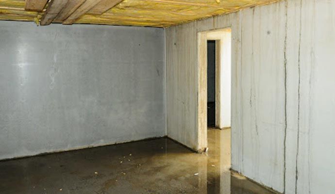 Water damaged basement
