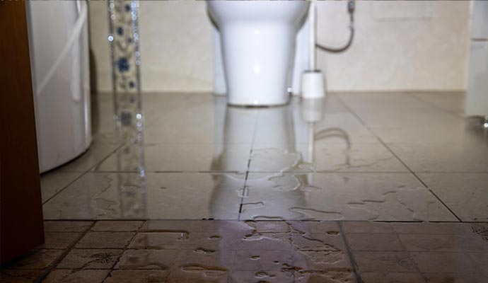 Toilet Overflow Restoration in Wheeling, Charleston, & Morgantown