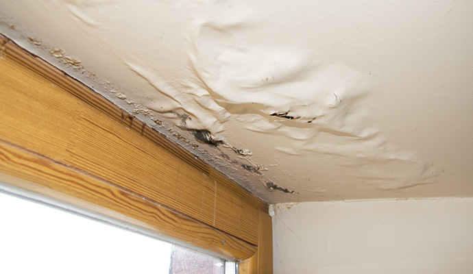 Bubbling, peeling ceiling paint above a window from water damage