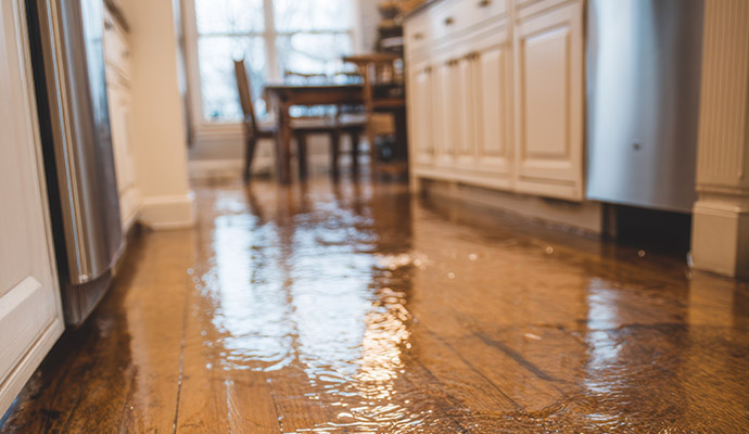 Water damaged kitchen hardwood floor 