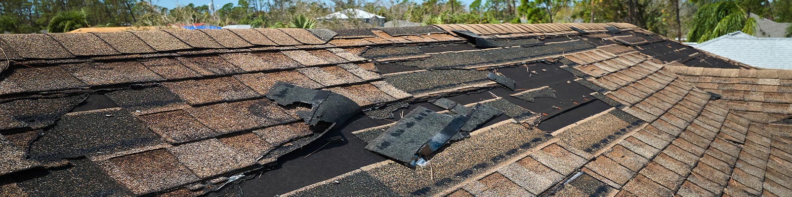 Water damaged roof