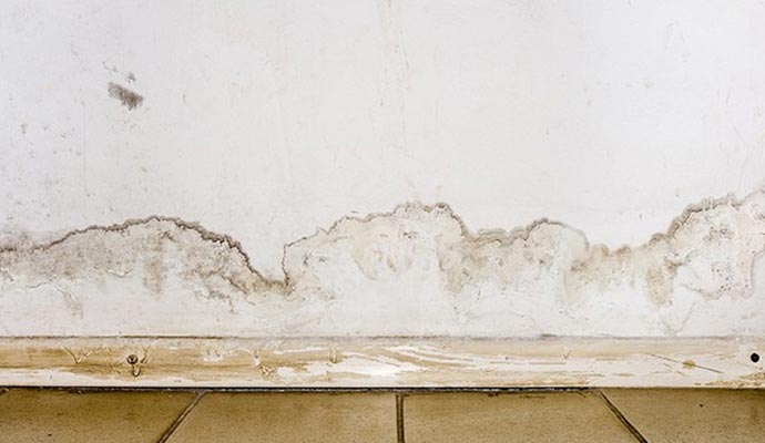 Restoration & Cleanup for Structural Water Damage in Drywall