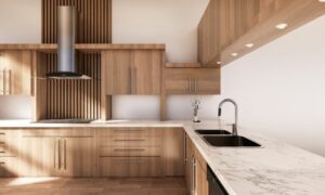 Kitchen Remodeling Materials & Finishes