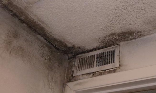Signs of Mold in Air Ducts